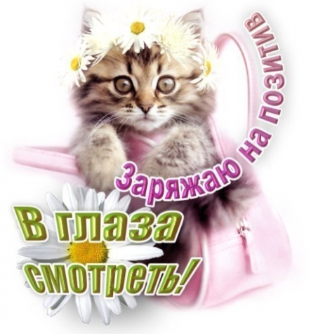 Важно! Позивно! Мыслить! С Днем Влюбленных! Важно! Позивно! Мыслить! С Днем Влюбленных!
