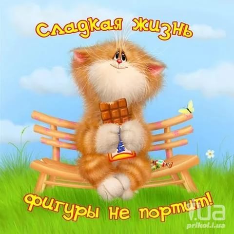 Важно! Позивно! Мыслить! С Днем Влюбленных! Важно! Позивно! Мыслить! С Днем Влюбленных!