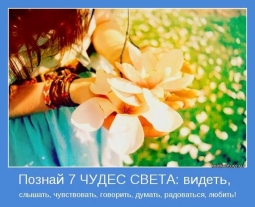 Подставка для... Подставка для...