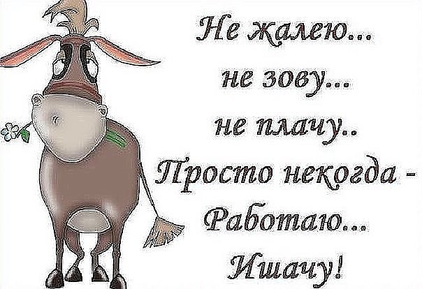 У нас тут классно! У нас тут классно!