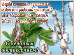 Вербное воскресенье 9 апреля. Вербное воскресенье 9 апреля.