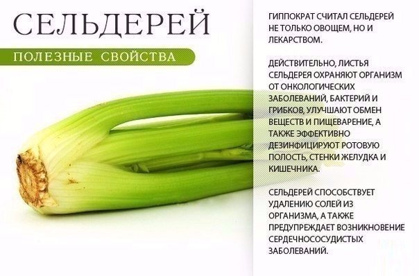 НА ЗАМЕТКУ НА ЗАМЕТКУ