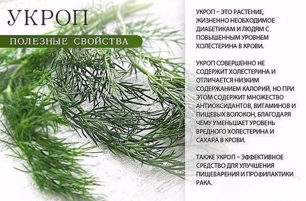 НА ЗАМЕТКУ НА ЗАМЕТКУ