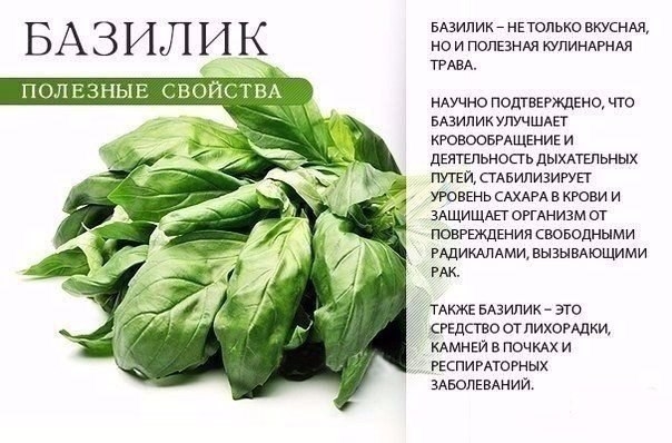 НА ЗАМЕТКУ НА ЗАМЕТКУ