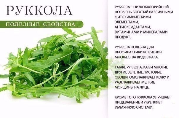 НА ЗАМЕТКУ НА ЗАМЕТКУ