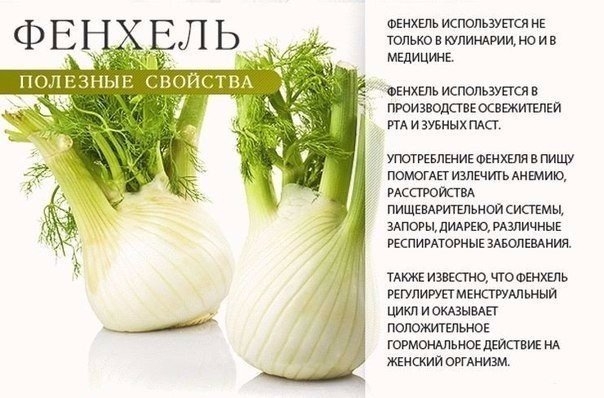 НА ЗАМЕТКУ НА ЗАМЕТКУ