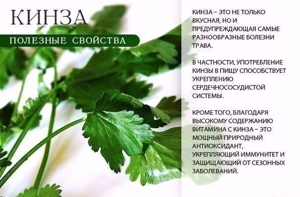 НА ЗАМЕТКУ НА ЗАМЕТКУ