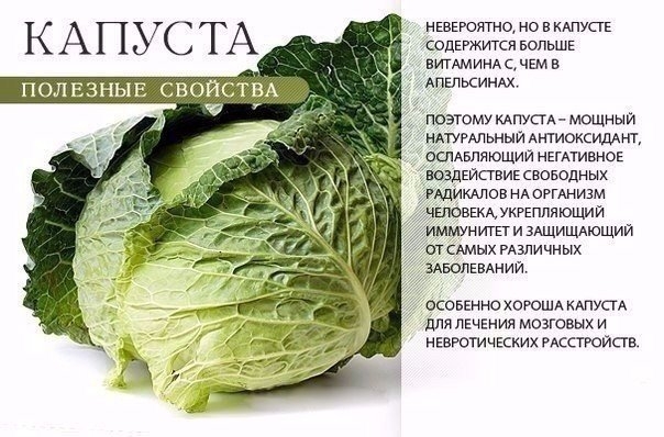 НА ЗАМЕТКУ НА ЗАМЕТКУ
