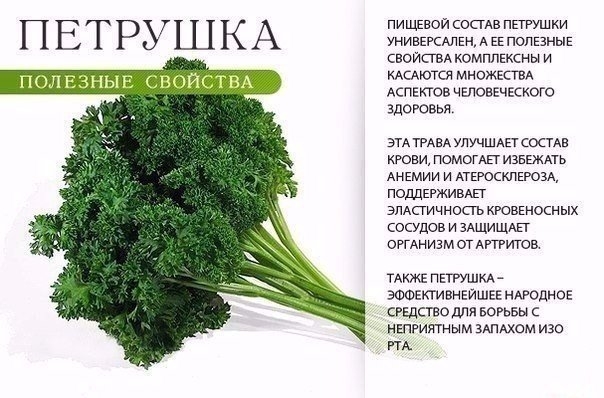 НА ЗАМЕТКУ НА ЗАМЕТКУ