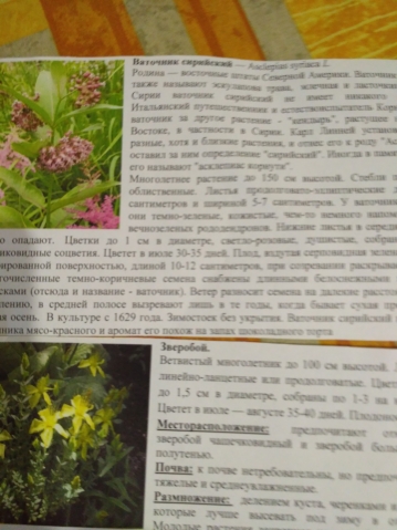 Посылка отправлена от Цветочницы Посылка отправлена от Цветочницы