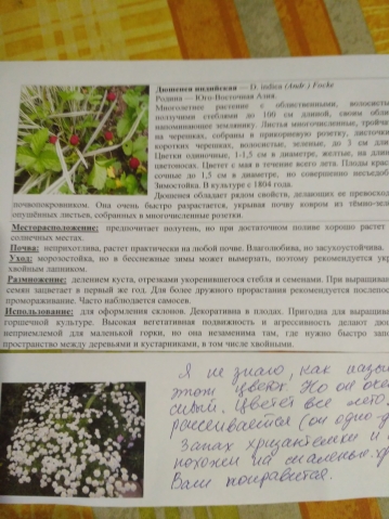 Посылка отправлена от Цветочницы Посылка отправлена от Цветочницы