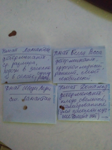 Посылка отправлена от Цветочницы часть 2 Посылка отправлена от Цветочницы часть 2