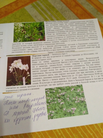 Посылка отправлена от Цветочницы Посылка отправлена от Цветочницы