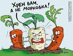 Профессиональные семена Профессиональные семена