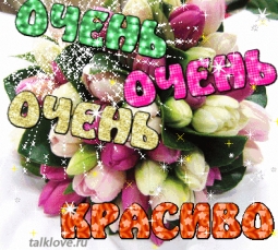 Астранция: травянистые растения для открытого грунта Астранция: травянистые растения для открытого грунта