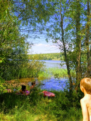 Выходные Выходные