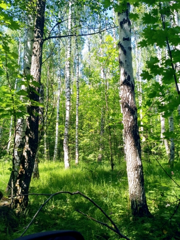 Выходные Выходные