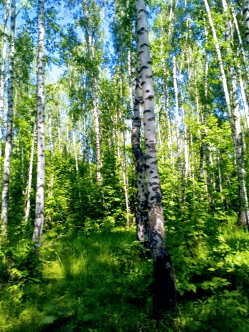 Выходные Выходные