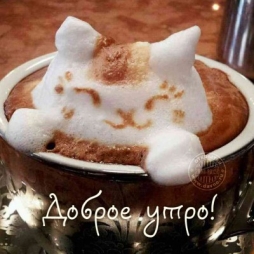 Разная, с холодком, просто впечатляет Разная, с холодком, просто впечатляет