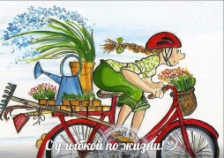 Когда сажать капусту рассадой: оптимальные сроки и советы по уходу за растением Когда сажать капусту рассадой: оптимальные сроки и советы по уходу за растением