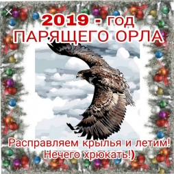 Поздравляю годом "Парящего орла" Поздравляю годом "Парящего орла"