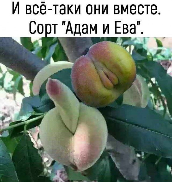 Последний месяц лета (часть 4) Последний месяц лета (часть 4)