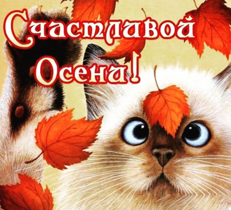 Осенний ковер. Первые дни осени. Осенний ковер. Первые дни осени.