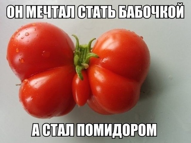 Последний месяц лета (часть 4) Последний месяц лета (часть 4)