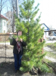 Ирина