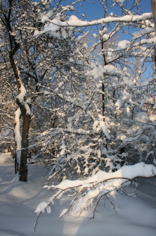Засыпает зима, засыпает... Засыпает зима, засыпает...