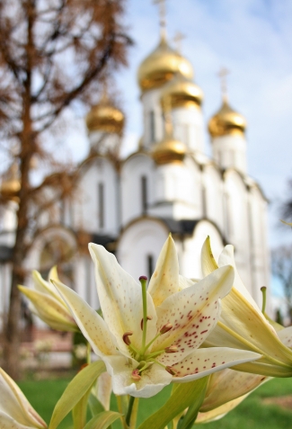 Давайте вместе путешествовать! Переславль-Залесский. Давайте вместе путешествовать! Переславль-Залесский.