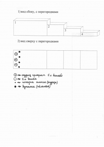 Выращивание огурцов в парнике Выращивание огурцов в парнике