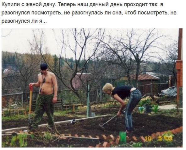 Распределение садово-огородных работ. Распределение садово-огородных работ.