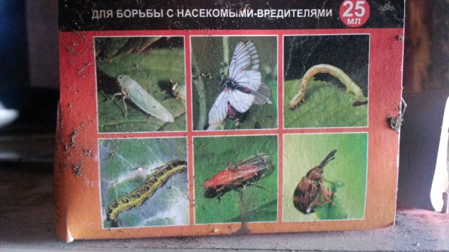 Алатар Алатар