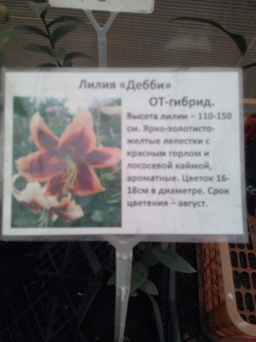 Этого события мы ждали целый год Этого события мы ждали целый год