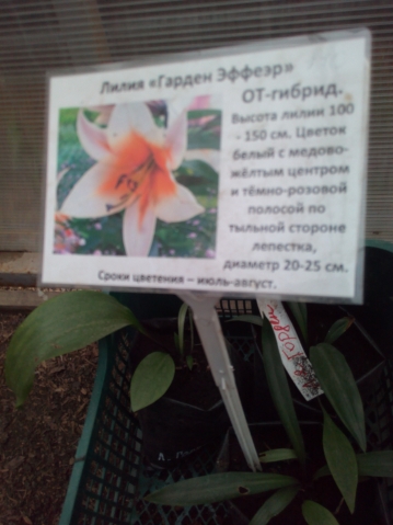 Этого события мы ждали целый год Этого события мы ждали целый год