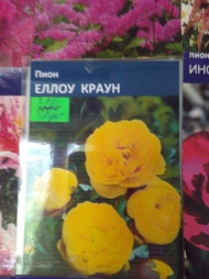 Почему желтый пион дорого стоит Почему желтый пион дорого стоит