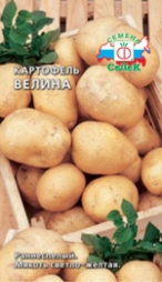 Картофель из семян Картофель из семян