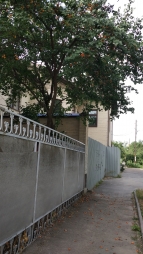 Из Ростова-на-Дону в Москву. Из Ростова-на-Дону в Москву.
