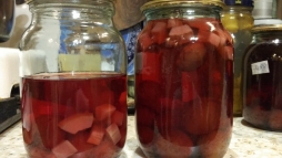 Компот из слив и кабачков. Компот из слив и кабачков.