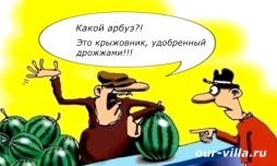 растения растут ... на дрожжах растения растут ... на дрожжах