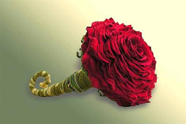 язык цветов язык цветов