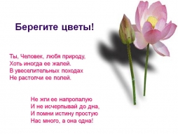 Недоступная красота Недоступная красота