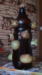 Лук в бутылке Лук в бутылке