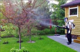 Лечение растений Лечение растений