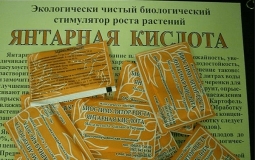 Янтарная кислота для комнатных растений Янтарная кислота для комнатных растений