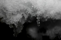 Талая вода Талая вода