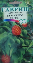 Бумажное дерево Бумажное дерево