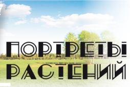 Красивая профессия Красивая профессия