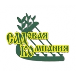 Как не обмануться при покупке саженцев и рассады ? Как не обмануться при покупке саженцев и рассады ?